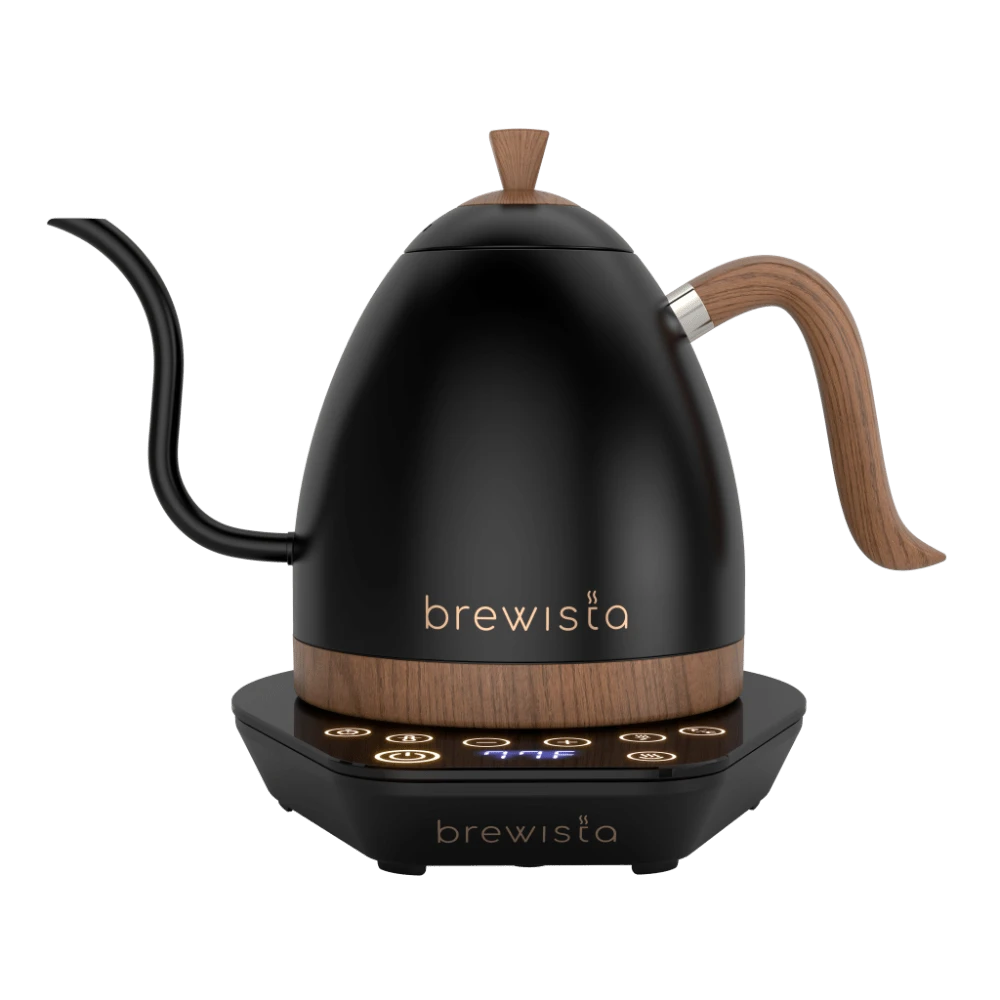 Brewista Artisan Electric Gooseneck Kettle - Matte Black
